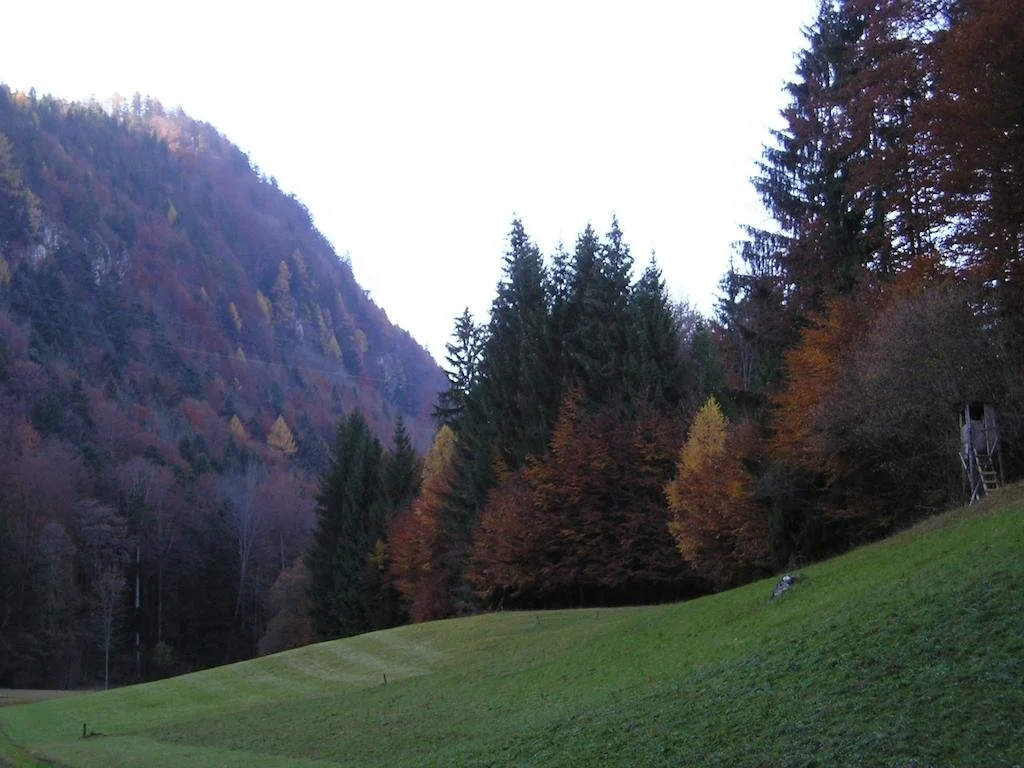 Meindlbauer