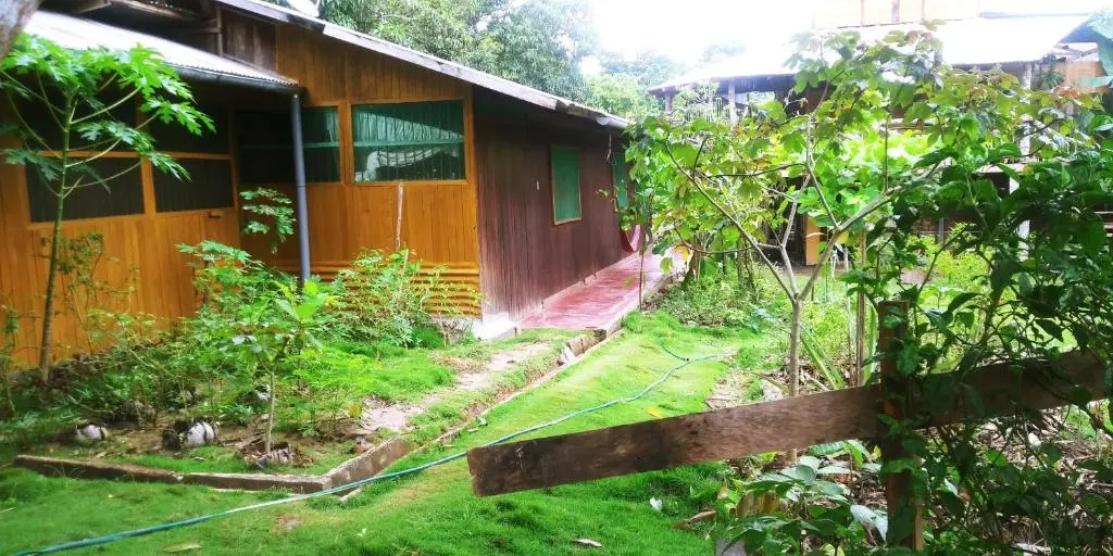 Yarina Guest house