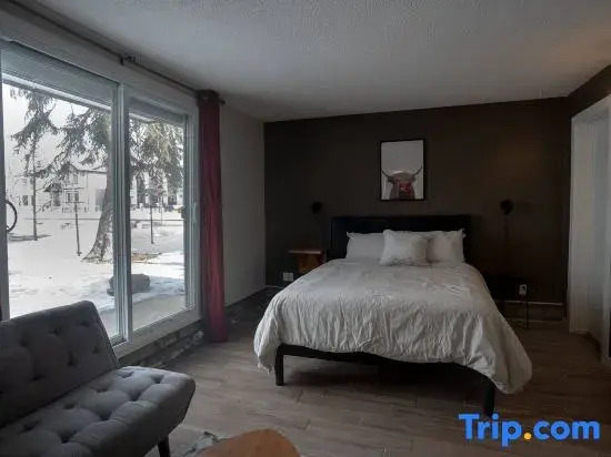 One Bedroom Condo Near Whyte Ave