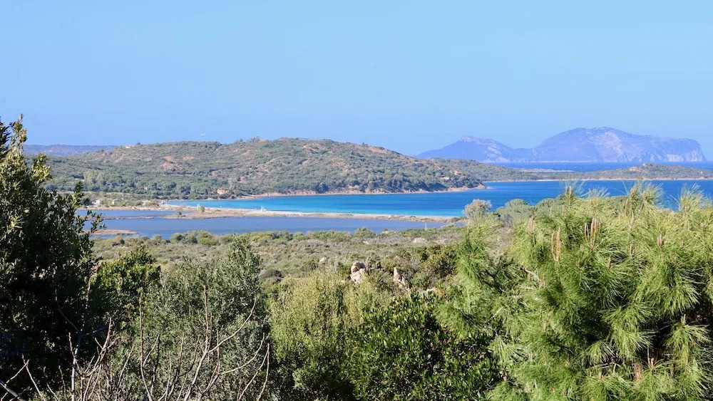 Villamore