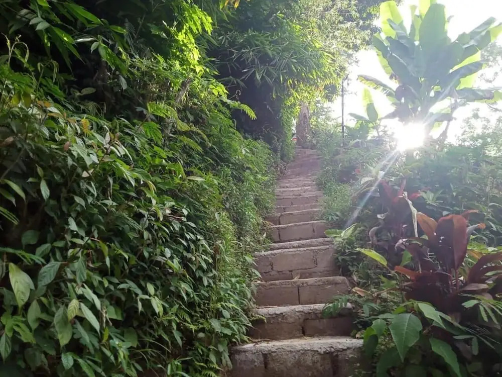 ECO Bedugul adventurer camp