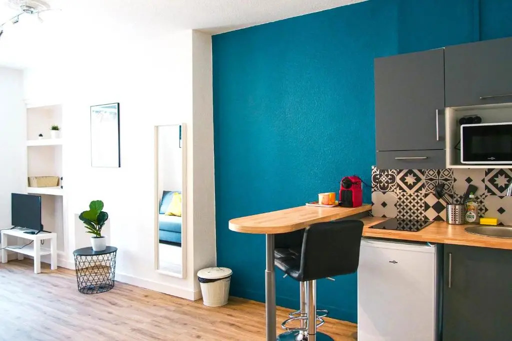 Le Tourangeau - Grand studio cosy en hypercentre