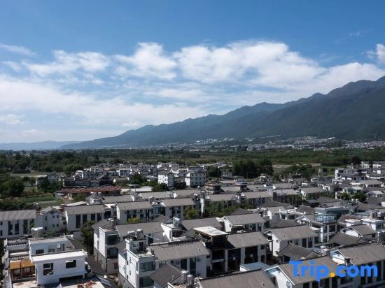Tianyi · Verdant Isle Villa Garden, Qingyu (Dali Old City Store)
