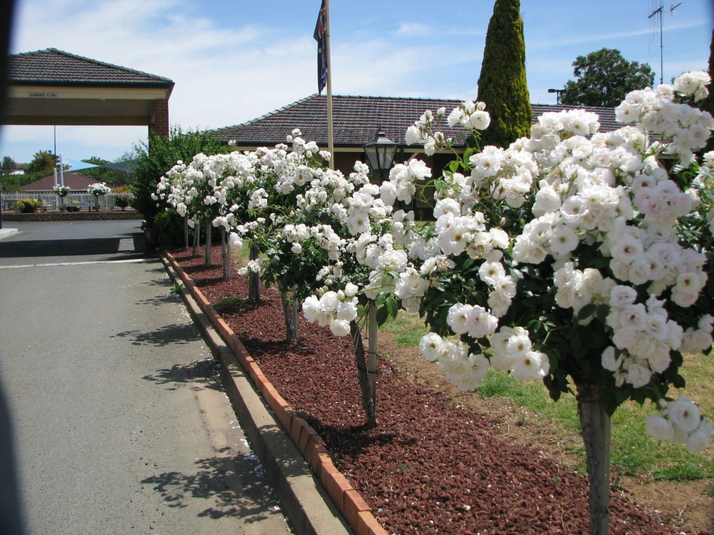 Bushmans Motor Inn