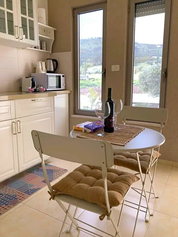 Kinneret View