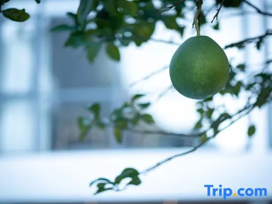 Yangshuo Rain Falls Forest homestay