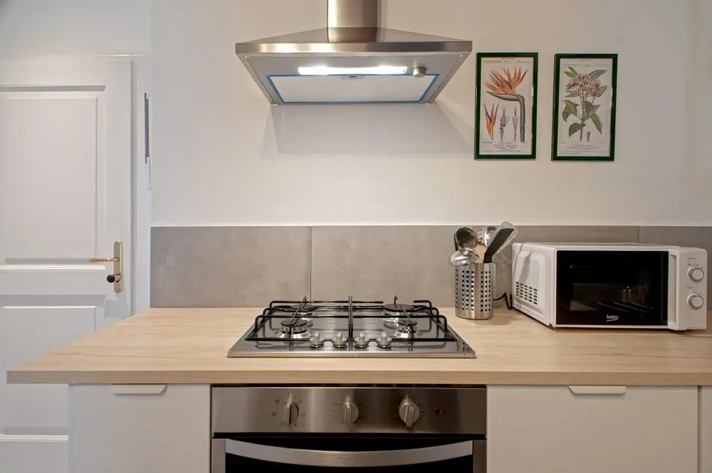 Art Living Apartment