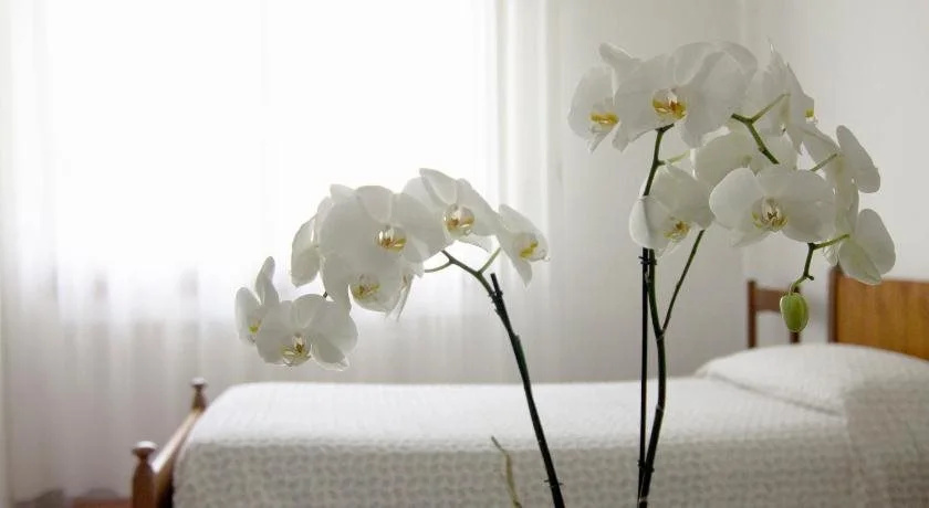 Albergo San Raffaele