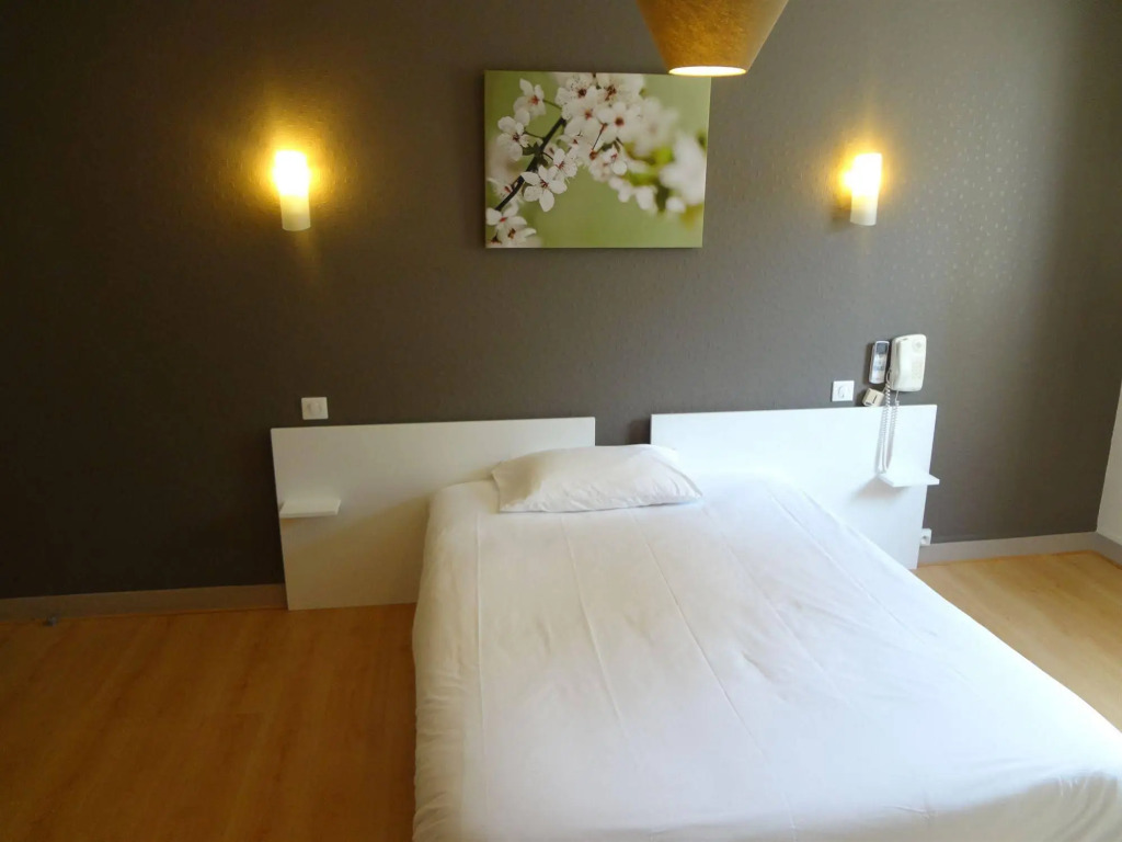 Brit Hotel du Parc Niort Centre-Parking gratuit