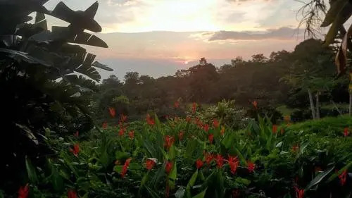 Hale Hualalai