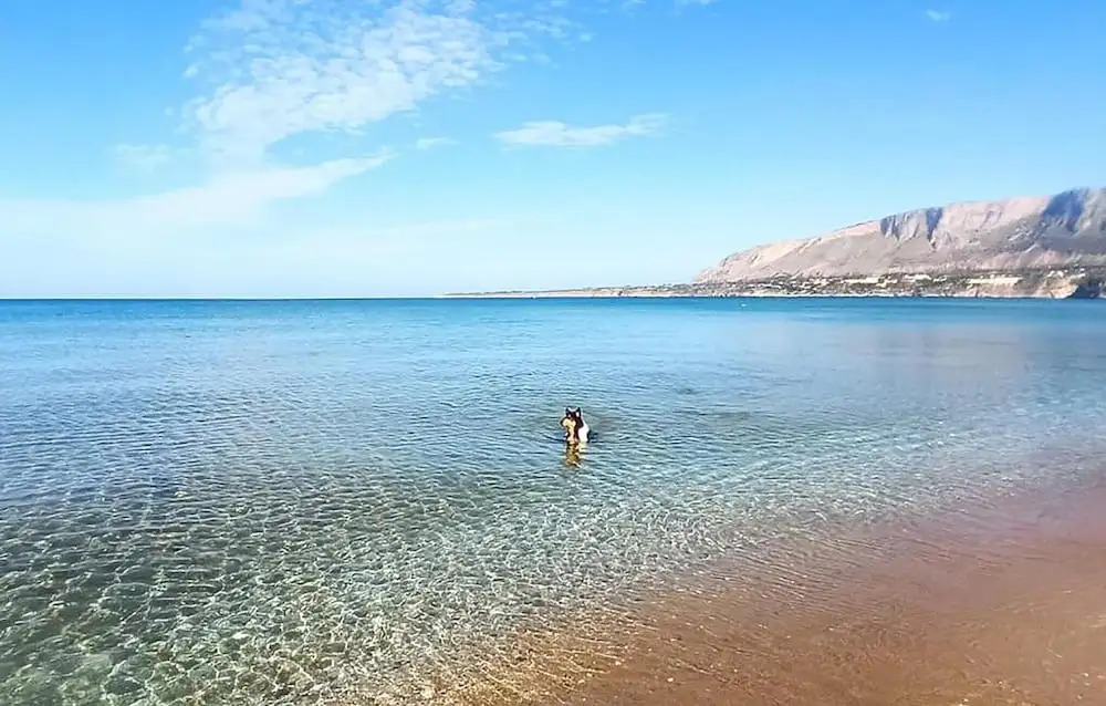 Villa Shabikella Beach