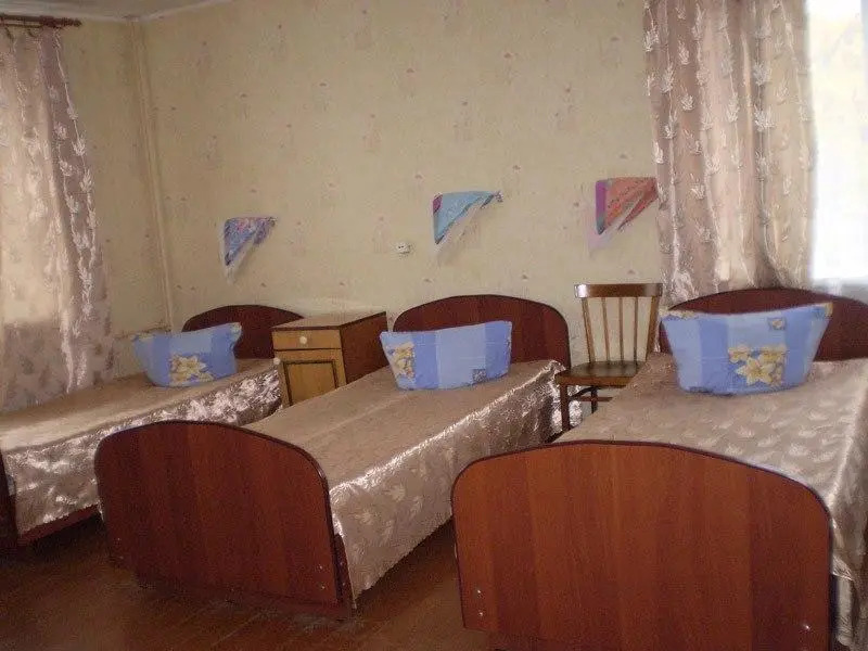 Druzhba