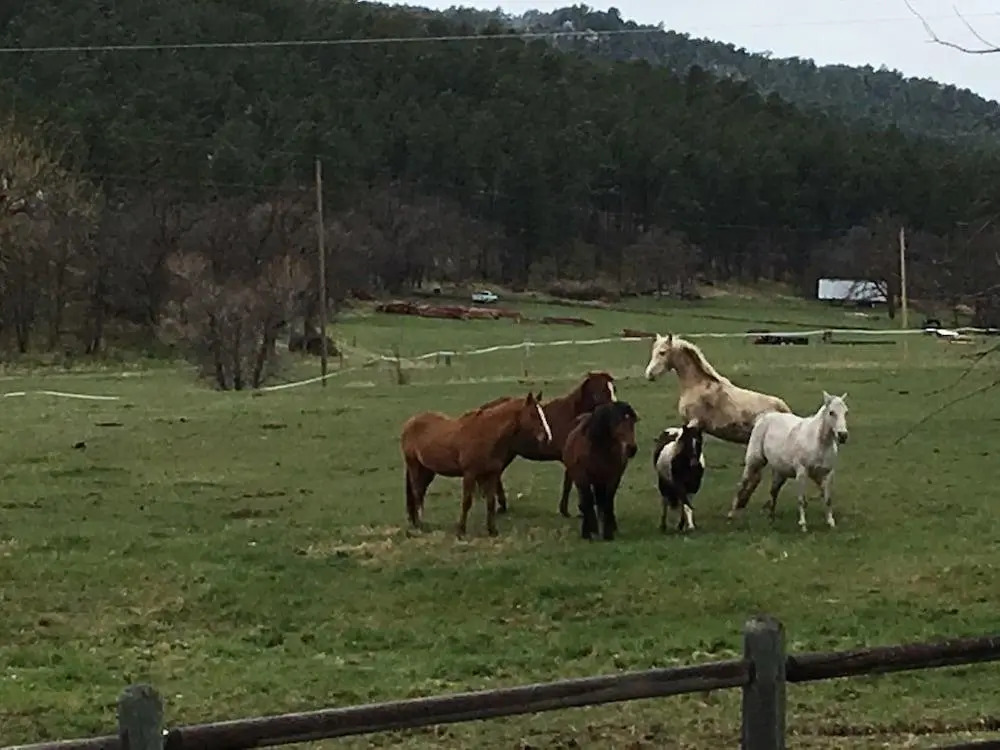 Ghost Canyon Guest Ranch & B&B