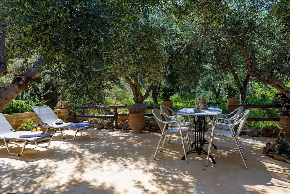 The Olive House