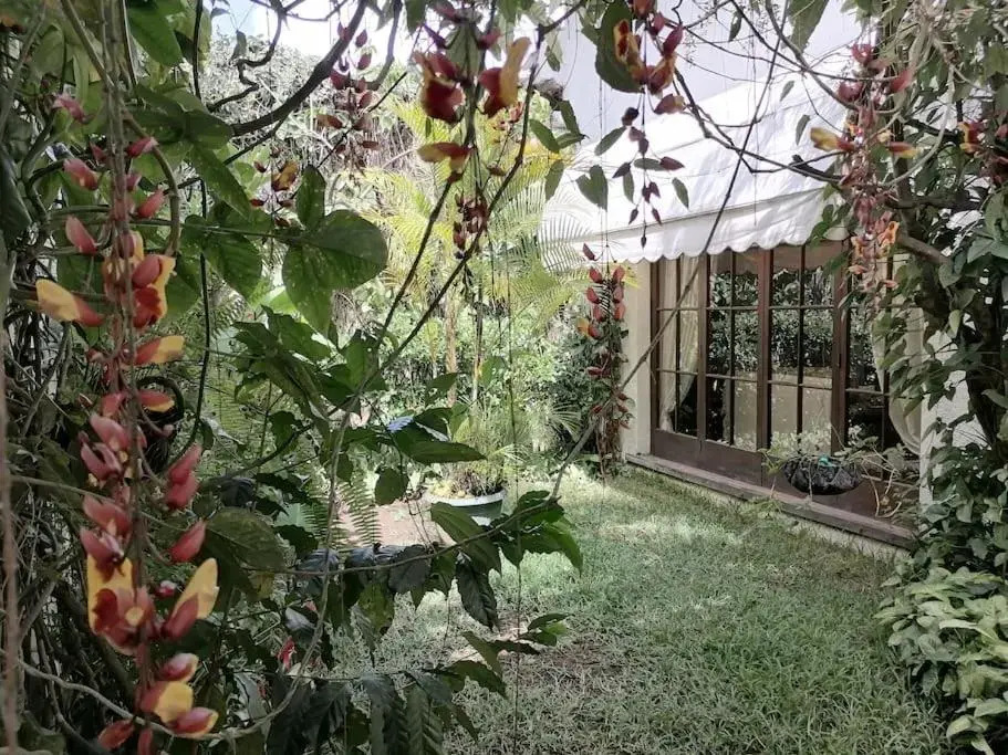 Casa Madrigal