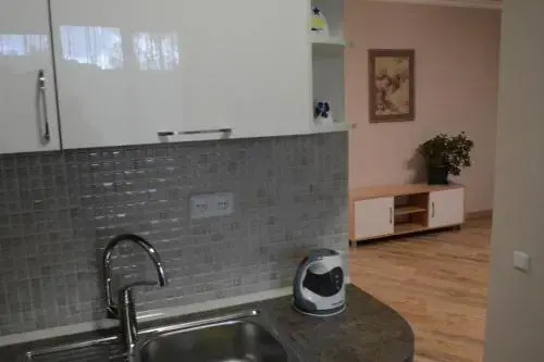 1 BR Apartment Republic Square