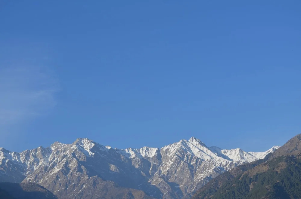 Hotel Centre Point Resorts Palampur