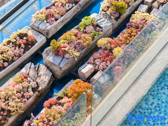 Designer Lake View Holiday