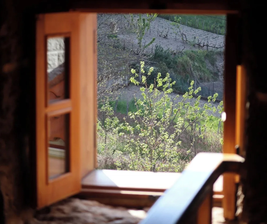 Comfortable Rural Cottage in Ancient Village in the Douro Region