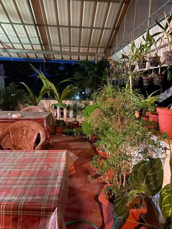 Gloria Homestay