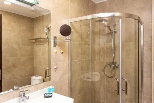 Flat 1 Bedroom 1 Bathroom - Bakuriani