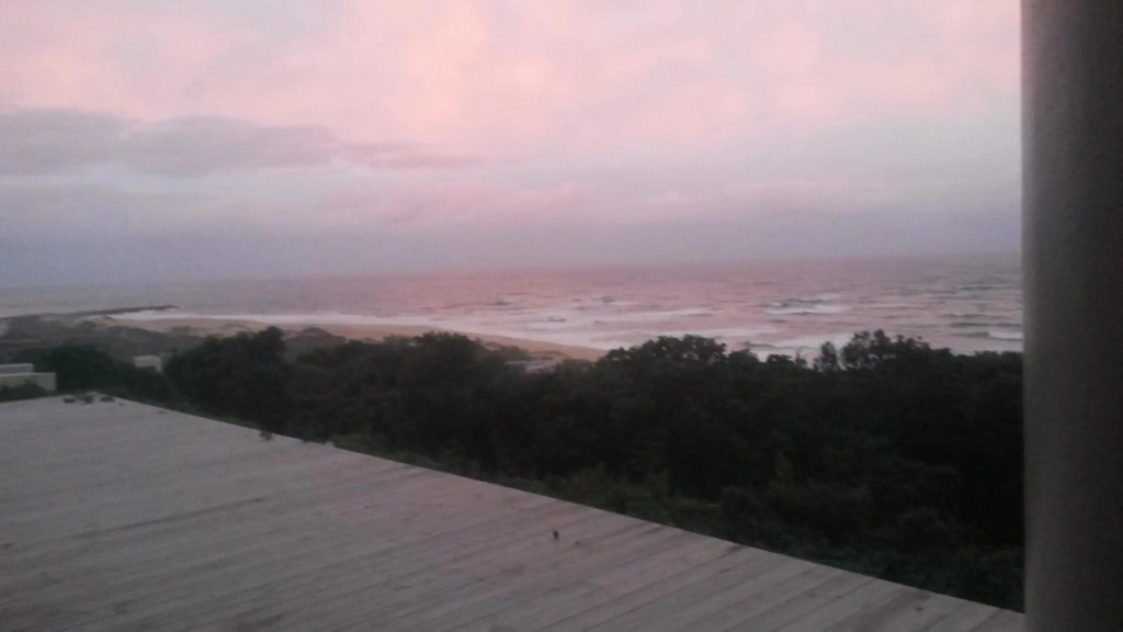 The View