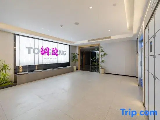 Lisi Future Hotel (Tongling Beidouxing City Government)