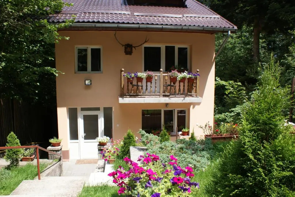 Vila Aleea