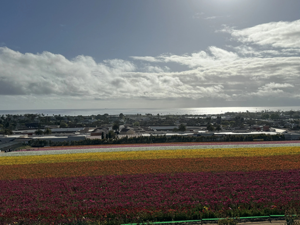 Holiday Inn Express & Suites Carlsbad Beach by IHG