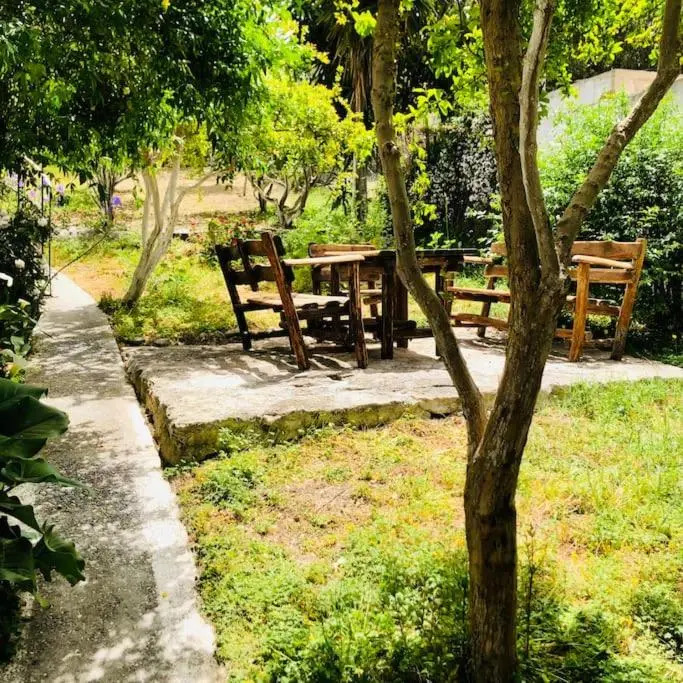 ΝΙRΑSΤΕRΟ - The house in the trees
