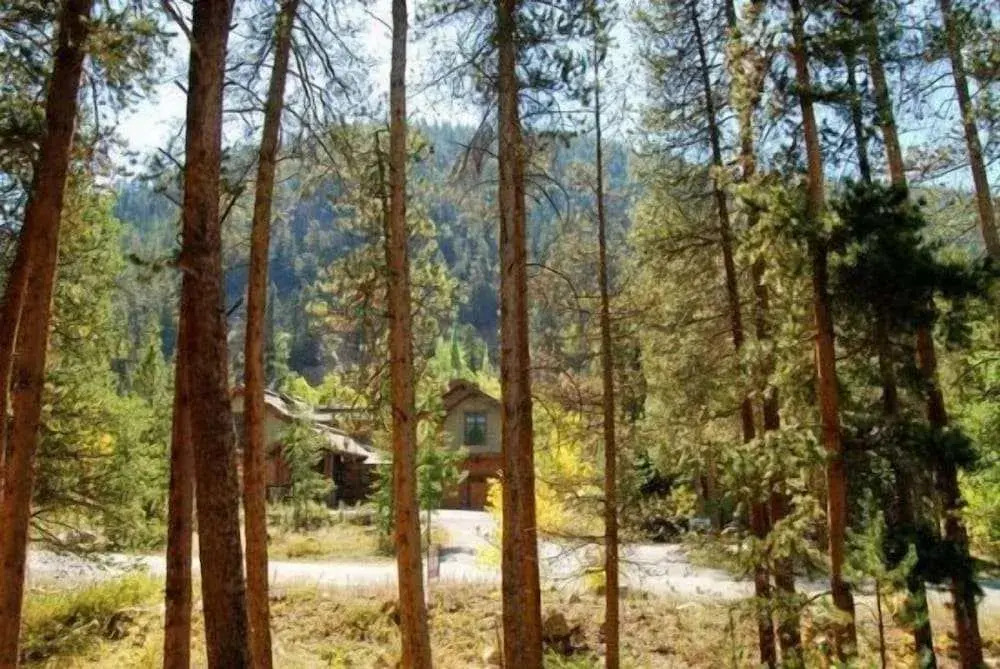 Lenawee Log Home In Dillon