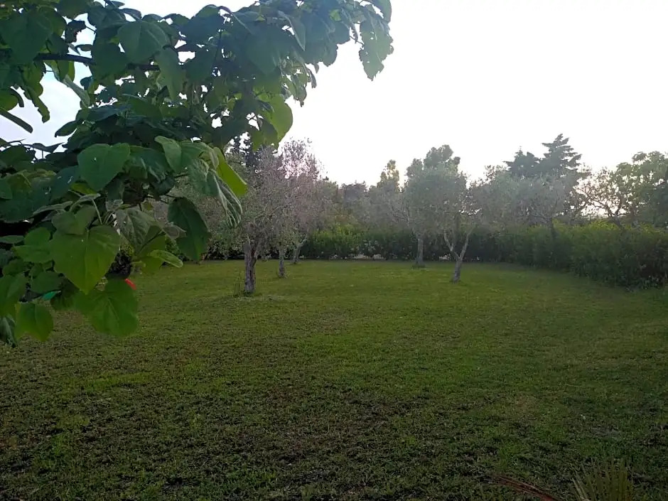B&B Alicino