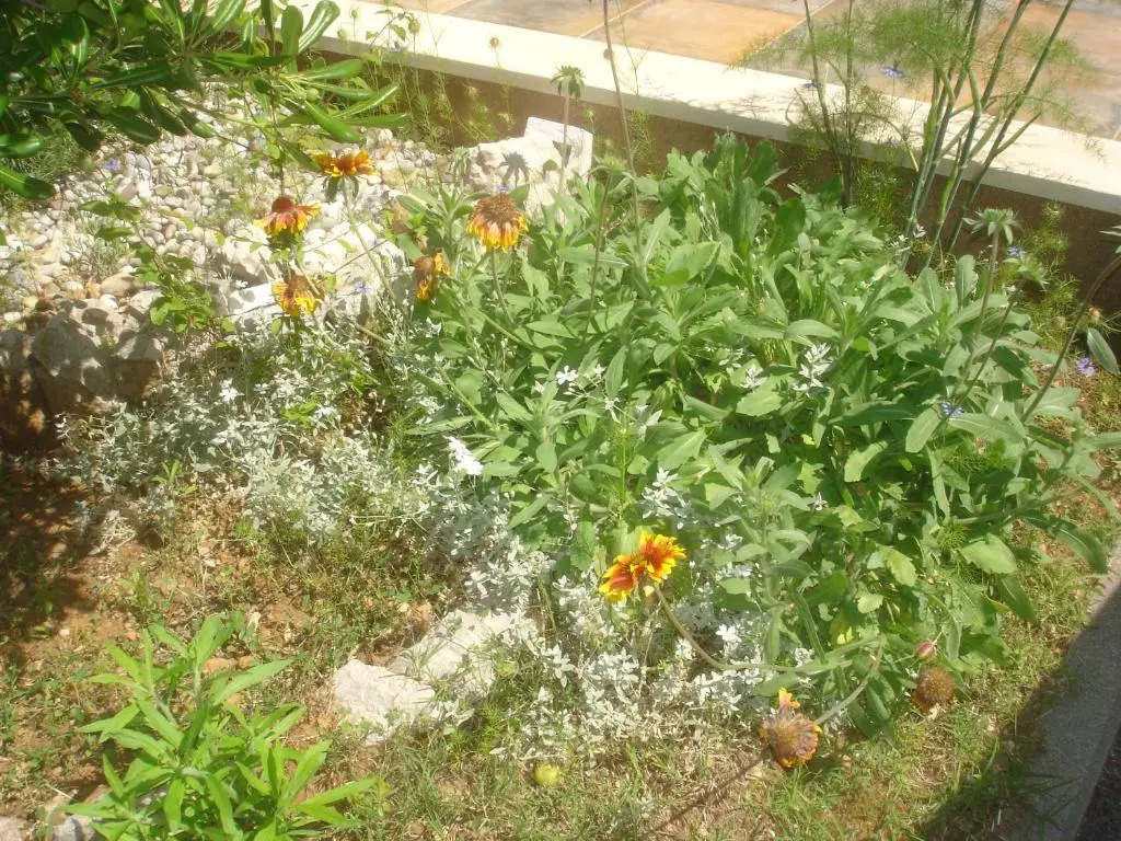 Apartments Gardijan