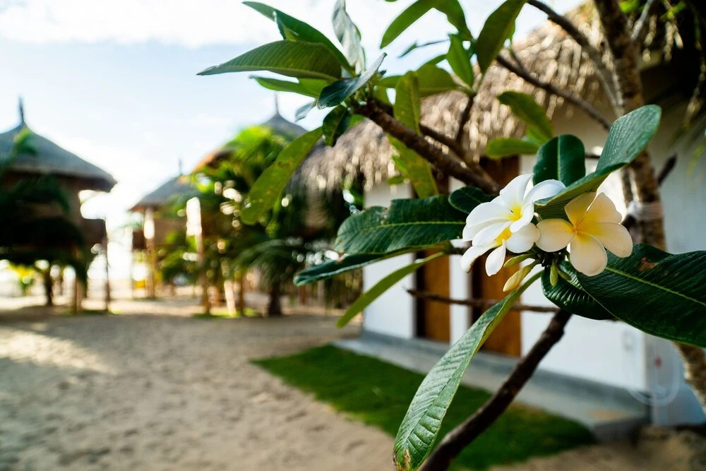 Whisky Point Resort