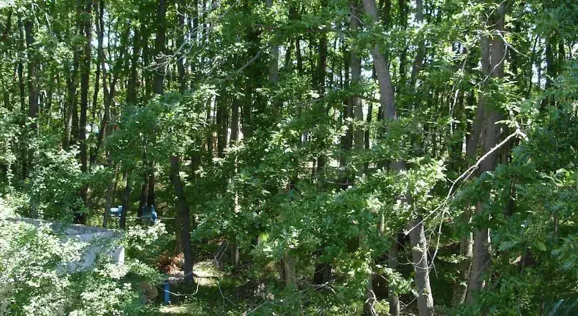 Park 1