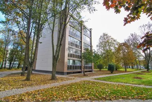 Luxury apartment Vytauto 16