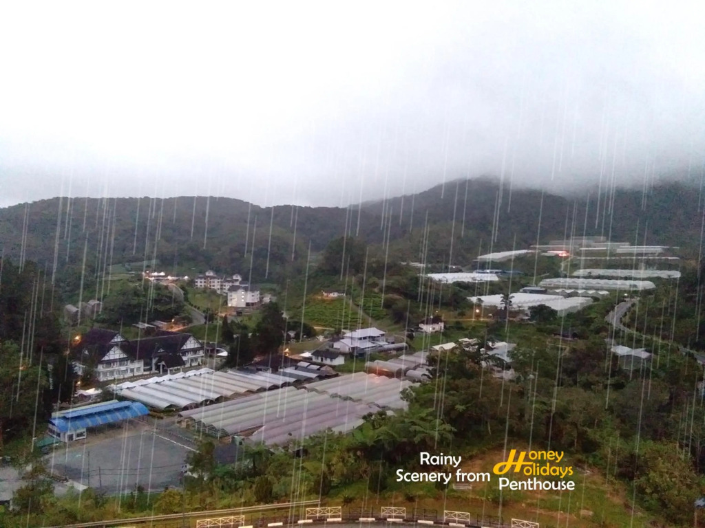 Honey Holiday Penthouse
