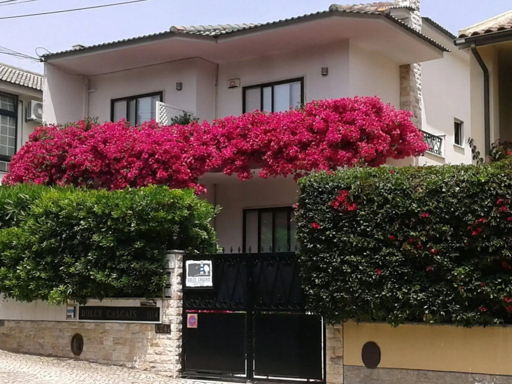 Dolce Cascais Guest House