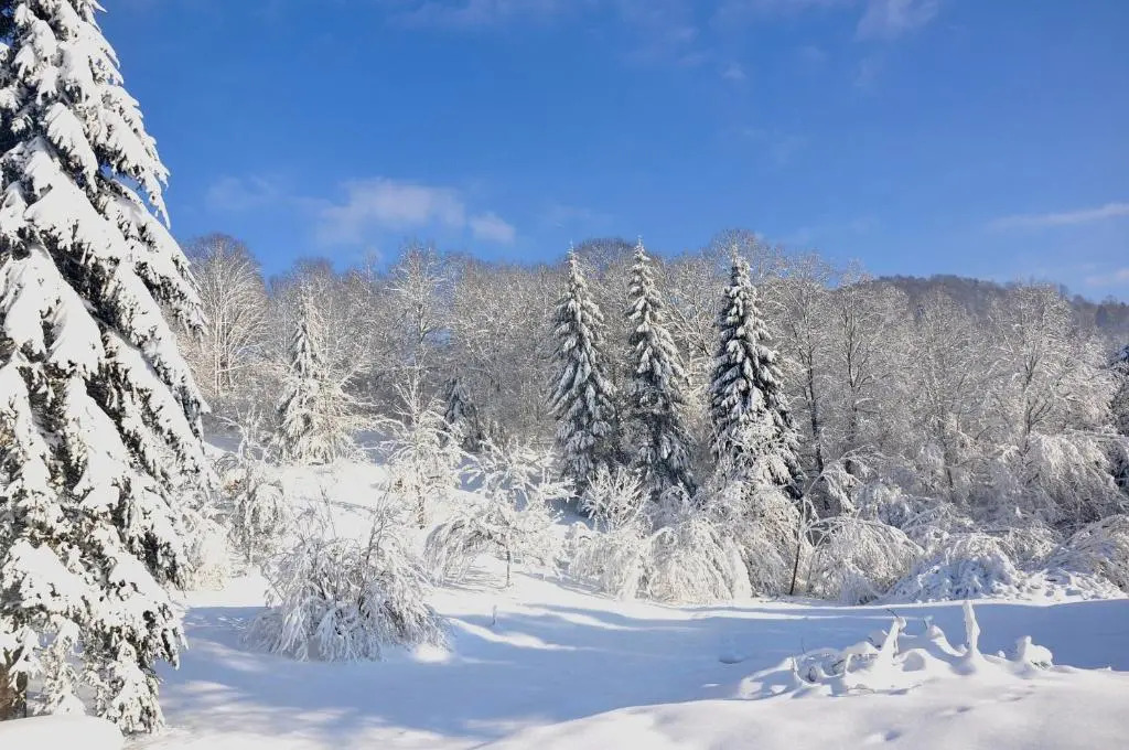 Gite châlet nature haute vosges