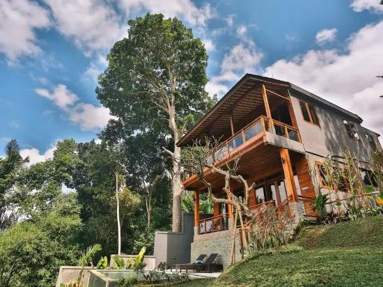 Bali Ubud Villa View