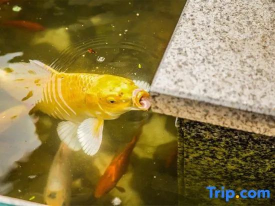 WuXi Qingluoju Homestay