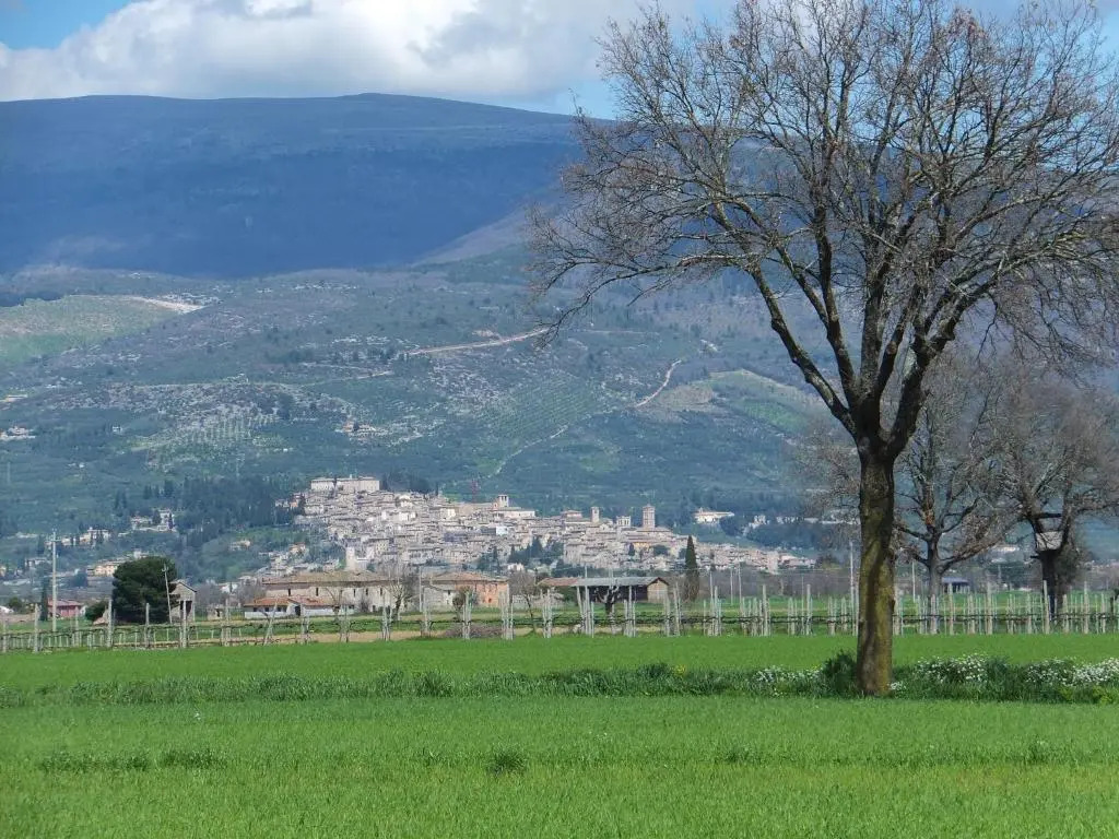Cascina Antonini