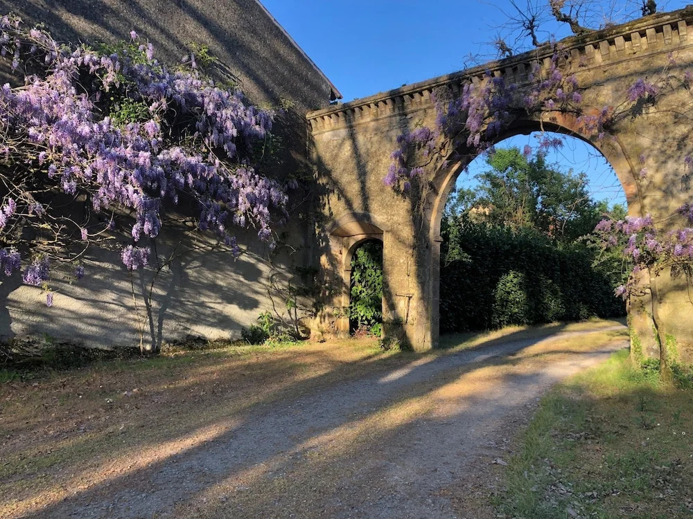 Château de la Mothe