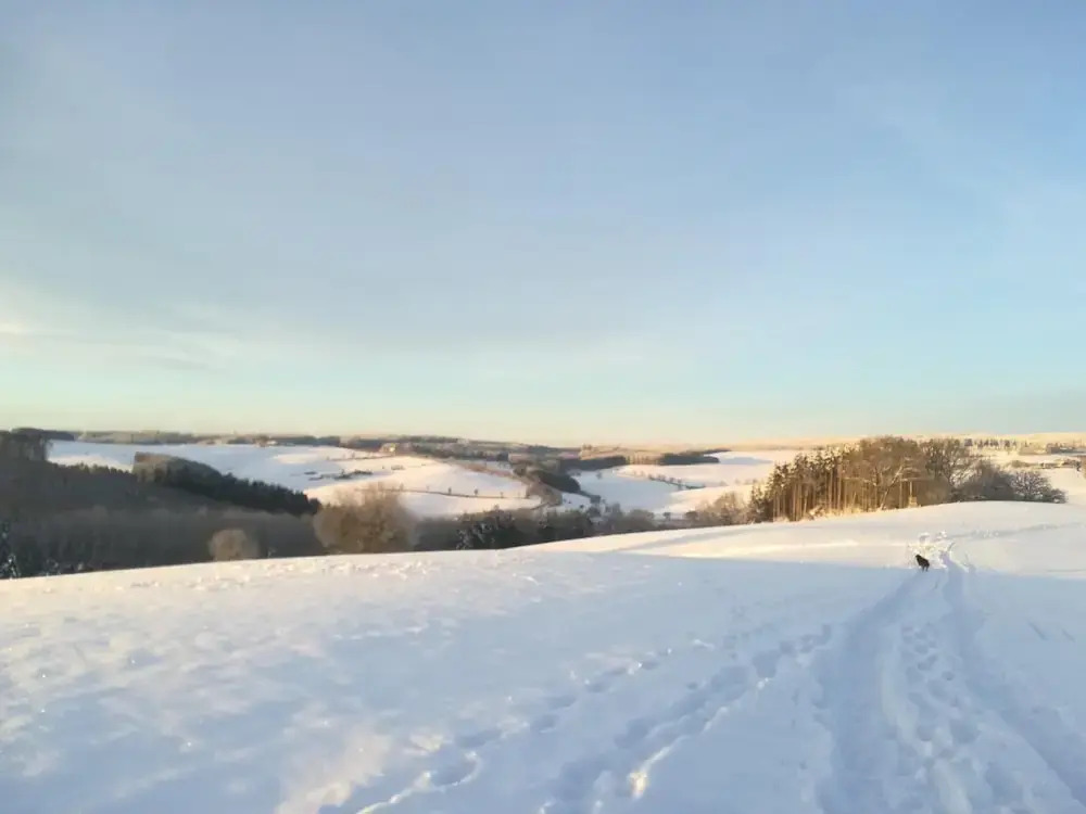 Apartment in Eifel Near Hiking Trails