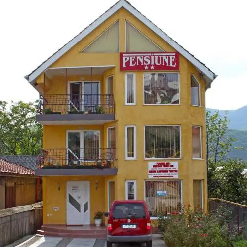 Pensiunea Bucuria