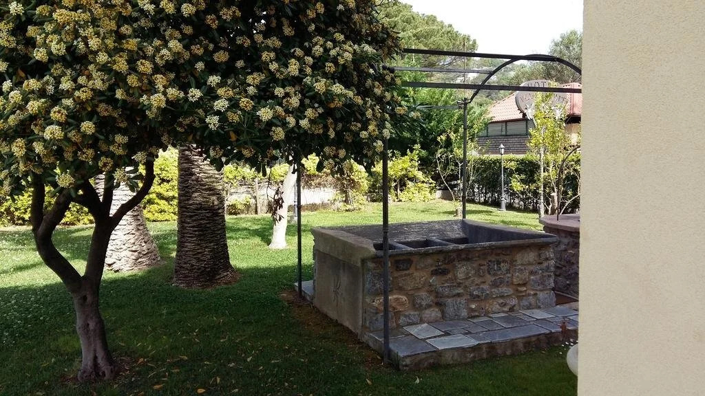 Hotel Villa delle Palme