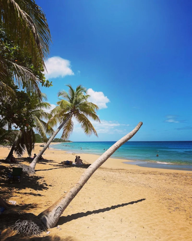 Auberge K-WAN Hostel - Proche Plages
