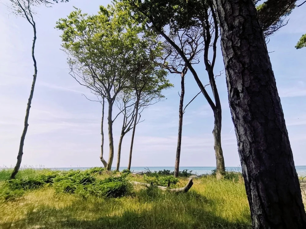 Hotel Schlösschen Sundische Wiese Zingst