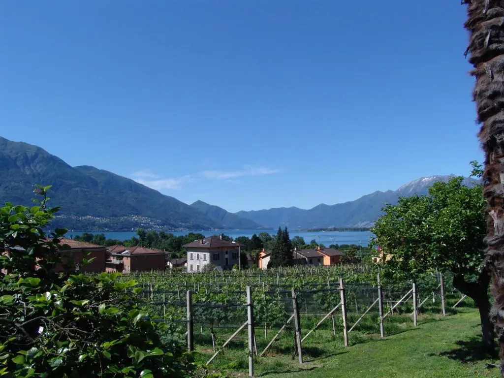 Casa Perini