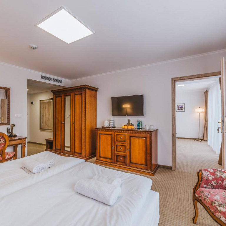 Hotel Paryski Art & Business Zakopane - Basen Jacuzzi Sauna Małpi Gaj